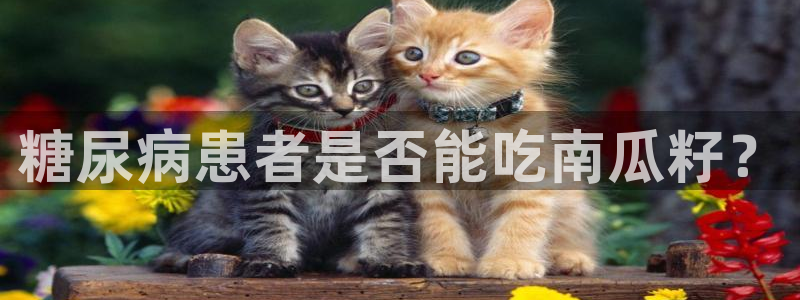 51吃瓜onlyfans网黄