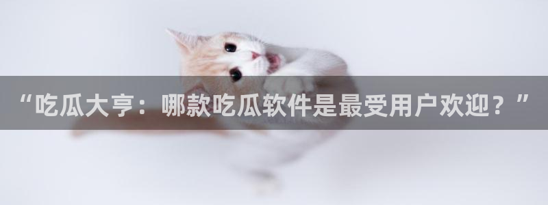 51吃瓜最新官网是多少