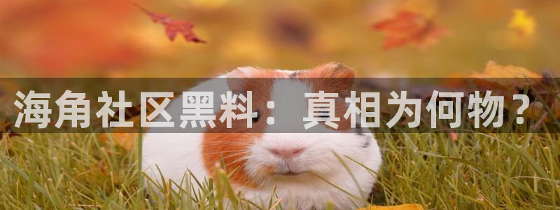 51吃瓜网更新最快最全的