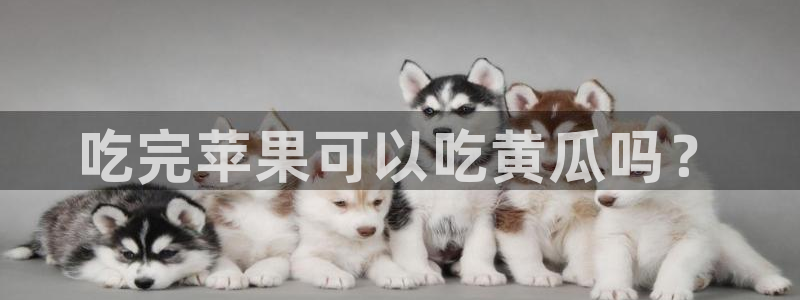 豆瓣自由吃瓜基地