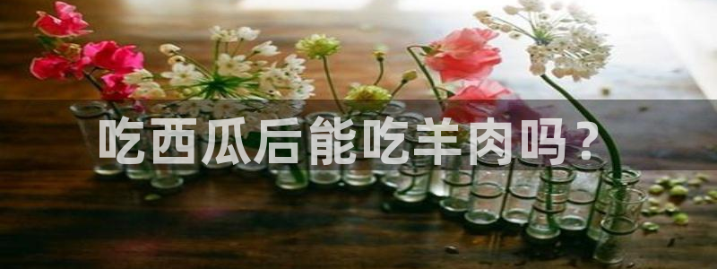 吃瓜的意思