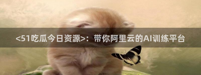 24小时吃瓜不间断：<51吃瓜今日资源>：带你阿里云的AI训练平台