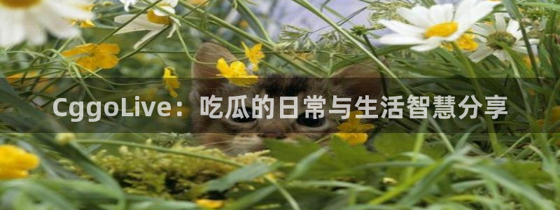 51吃瓜今日热门大瓜：CggoLive：吃瓜的日常与生活智慧分享