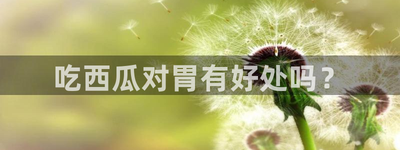 51吃瓜全网最快更新今日热门吃瓜