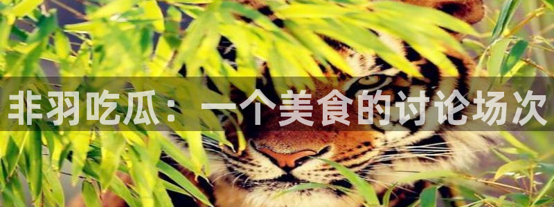 51吃瓜 张津瑜 网