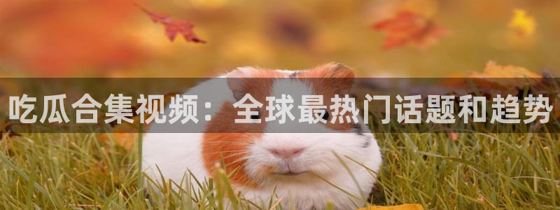 51吃瓜网今日必吃大瓜:吃瓜合集视频:全球最热门话题和趋势