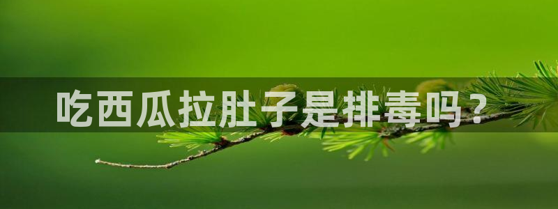 911今日必吃大瓜：吃西瓜拉肚子是排毒吗？