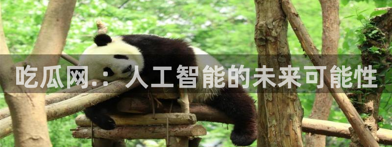 吃瓜舌头发麻什么原因：吃瓜网.：人工智能的未来可能性