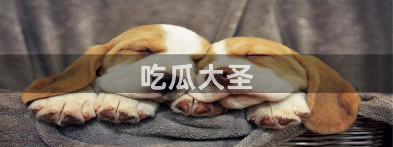 高血糖可以吃籽瓜吗：吃瓜大圣