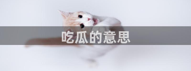 黑料下载