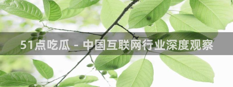 51cg1.ct吃瓜