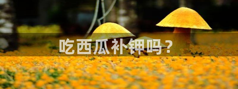 黑料.:吃西瓜补钾吗?