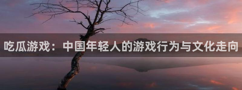 五一吃瓜今日必吃：吃瓜游戏：中国年轻人的游戏行为与文化走向