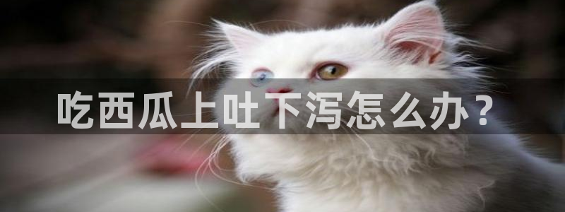 51吃瓜今日吃瓜娜娜：吃西瓜上吐下泻怎么办？