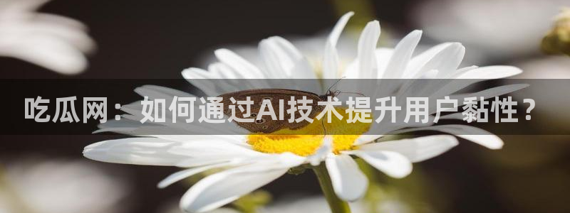 吃瓜.