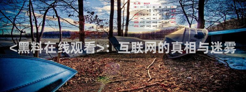 吃瓜爆料网不打烊回家：<黑料在线观看>：互联网的真相与迷雾