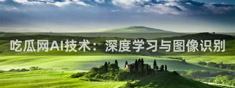 吃了坏瓜怎么办：吃瓜网AI技术：深度学习与图像识别