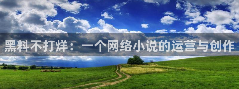脆瓜尽量少吃最好不吃：黑料不打烊：一个网络小说的运营与创作