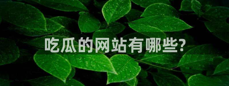 黑料专区：吃瓜的网站有哪些?