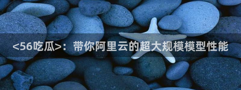 51cgfun吃瓜网怎么进：<56吃瓜>：带你阿里云的超大规模模型性能