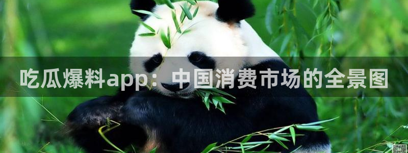 51吃瓜全网更新最快点：吃瓜爆料app：中国消费市场的全景图